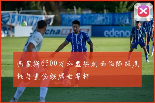 西蒙斯6500万加盟热刺面临降级危机与重伤缺席世界杯